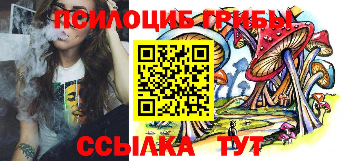дарнет шоп  Вход с VPN  Воткинск  Псилоцибиновые грибы Psilocybine cubensis  Галлюциногенные грибы MAGIC MUSHROOMS 