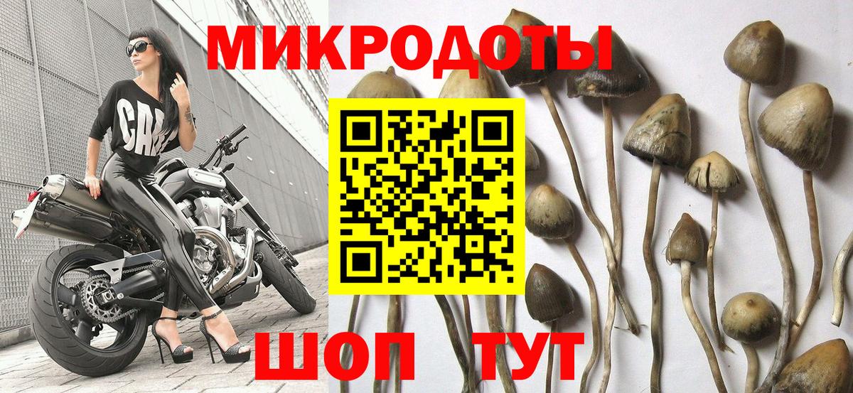 Псилоцибиновые грибы Magic Shrooms Воткинск
